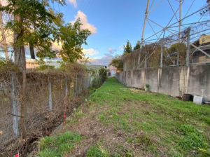 和泉市箕形町、土地の画像です