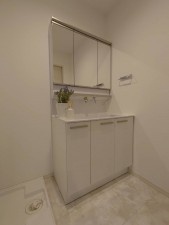泉大津市、新築一戸建ての画像です
