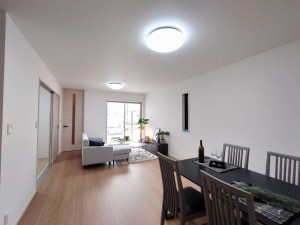 泉大津市、新築一戸建ての画像です