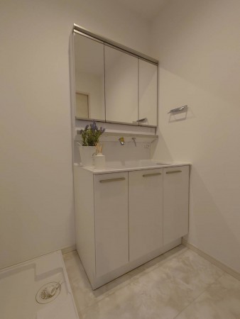 泉大津市、新築一戸建ての画像です