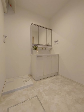 泉大津市、新築一戸建ての画像です