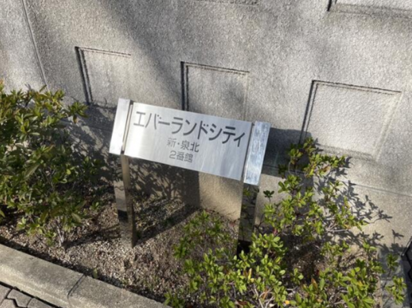 和泉市室堂町、マンションの画像です