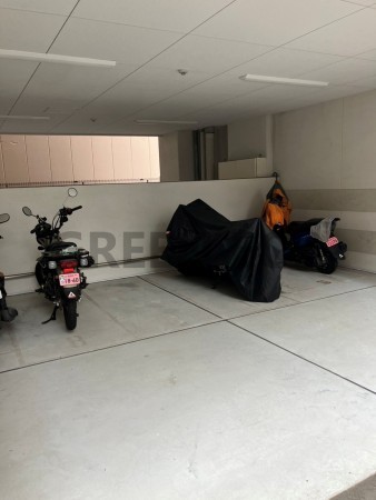 大阪市浪速区稲荷、マンションの画像です