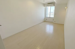 大阪市浪速区湊町、マンションの画像です