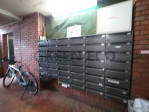 大阪市浪速区下寺、マンションの画像です