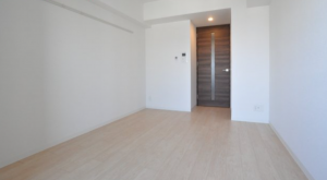 大阪市浪速区日本橋、マンションの画像です