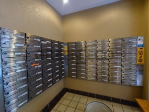 大阪市西区本田、マンションの画像です