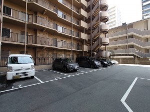 大阪市西区本田、マンションの画像です
