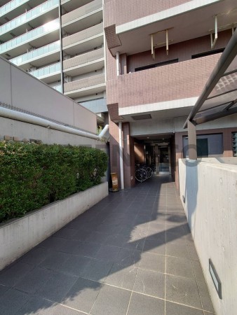 大阪市西区本田、マンションの画像です