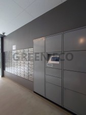 大阪市西区本田、マンションの画像です