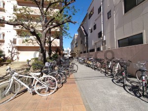 大阪市西区川口、マンションの画像です