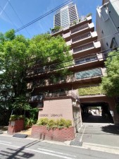 大阪市西区江戸堀、マンションの画像です