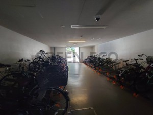 大阪市西区江戸堀、マンションの画像です