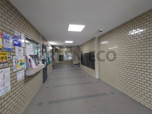 大阪市西区北堀江、マンションの画像です