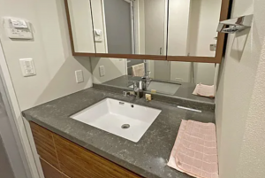 大阪市西区靱本町、マンションの画像です