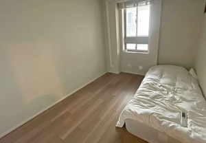 大阪市西区靱本町、マンションの画像です