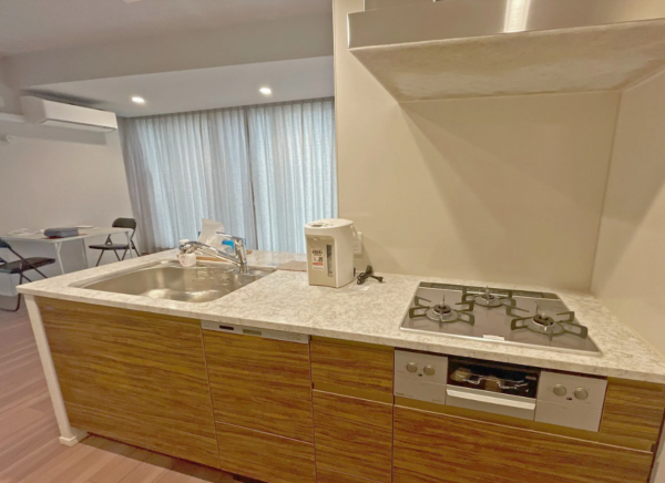 大阪市西区靱本町、マンションの画像です