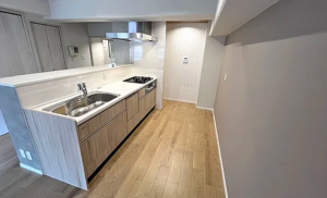 大阪市西区南堀江、マンションの画像です