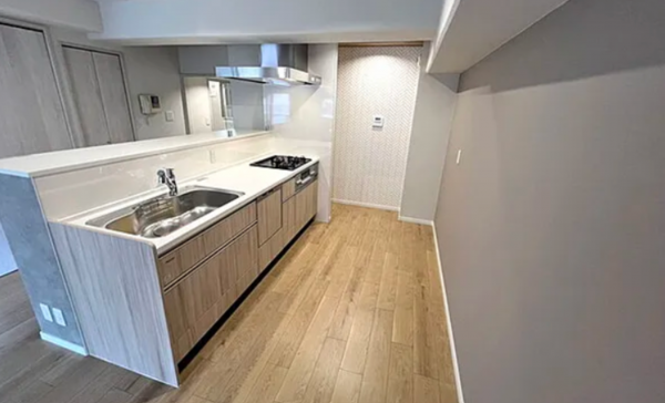 大阪市西区南堀江、マンションの画像です