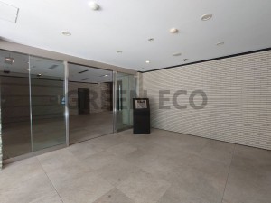 大阪市西区本田、マンションの画像です