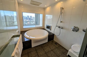 大阪市西区新町、マンションの画像です