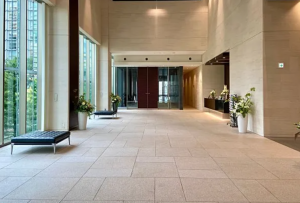 大阪市西区新町、マンションの画像です