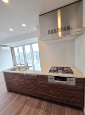 大阪市西区靱本町、マンションの画像です