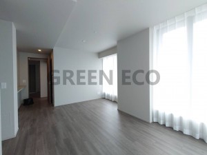 大阪市西区南堀江、マンションの画像です