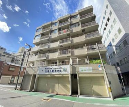 大阪市浪速区元町、マンションの画像です