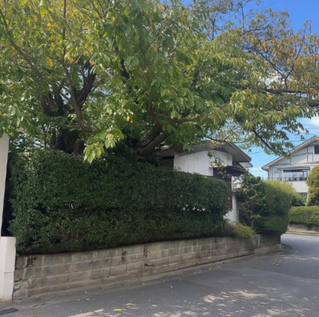 和泉市緑ケ丘、土地の画像です