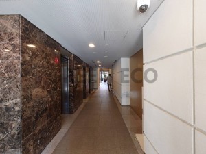 大阪市西区土佐堀、マンションの画像です