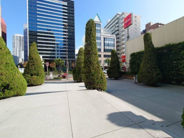 大阪市西区土佐堀、マンションの画像です