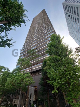 大阪市西区新町、マンションの画像です