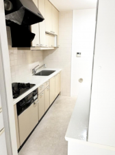 岸和田市下野町、マンションの画像です