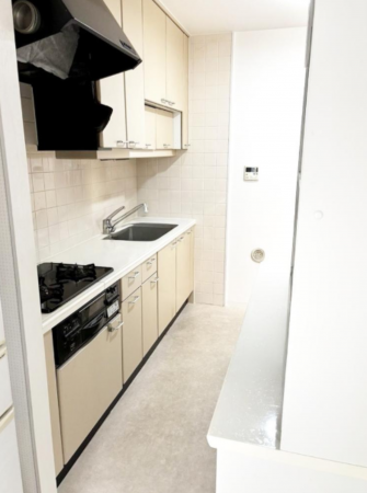 岸和田市下野町、マンションの画像です