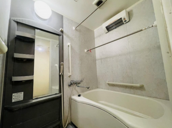 和泉市池田下町、マンションの画像です