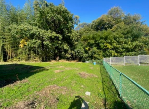 和泉市三林町、土地の画像です