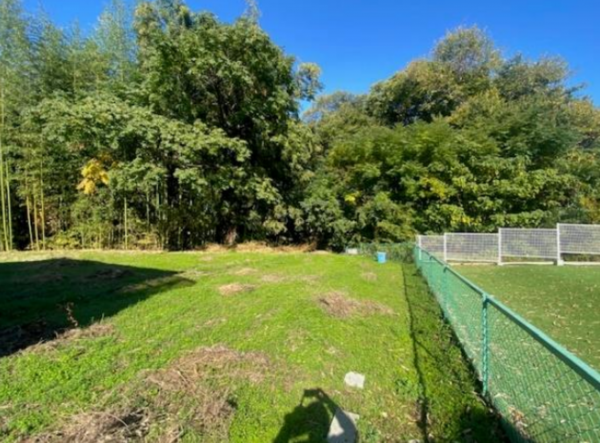 和泉市三林町、土地の画像です