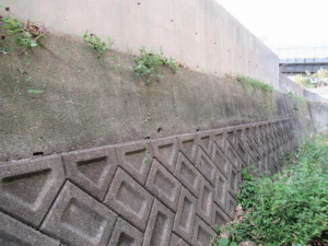 和泉市唐国町、土地の画像です