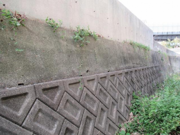 和泉市唐国町、土地の画像です