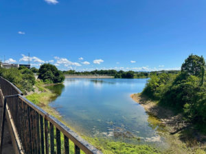 和泉市鶴山台、土地の画像です