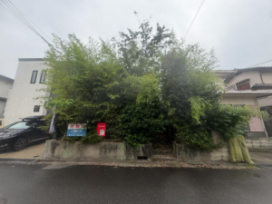 和泉市唐国町、土地の画像です