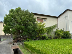 岸和田市三田町、土地の画像です