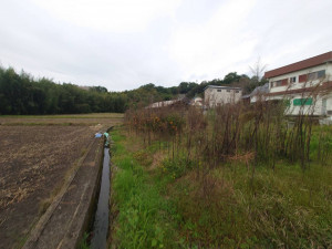 和泉市国分町、中古一戸建ての画像です