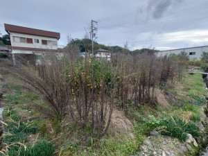 和泉市国分町、中古一戸建ての画像です