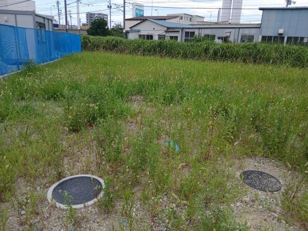 仙台市宮城野区福室、土地の画像です