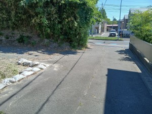 多賀城市大代、土地の画像です