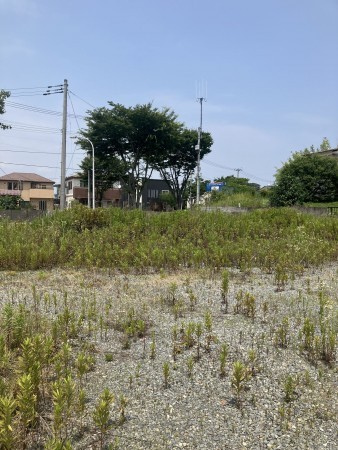 多賀城市高崎、土地の画像です