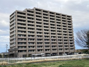 仙台市宮城野区新田東、マンションの画像です