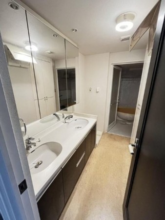 仙台市宮城野区新田東、マンションの洗面画像です